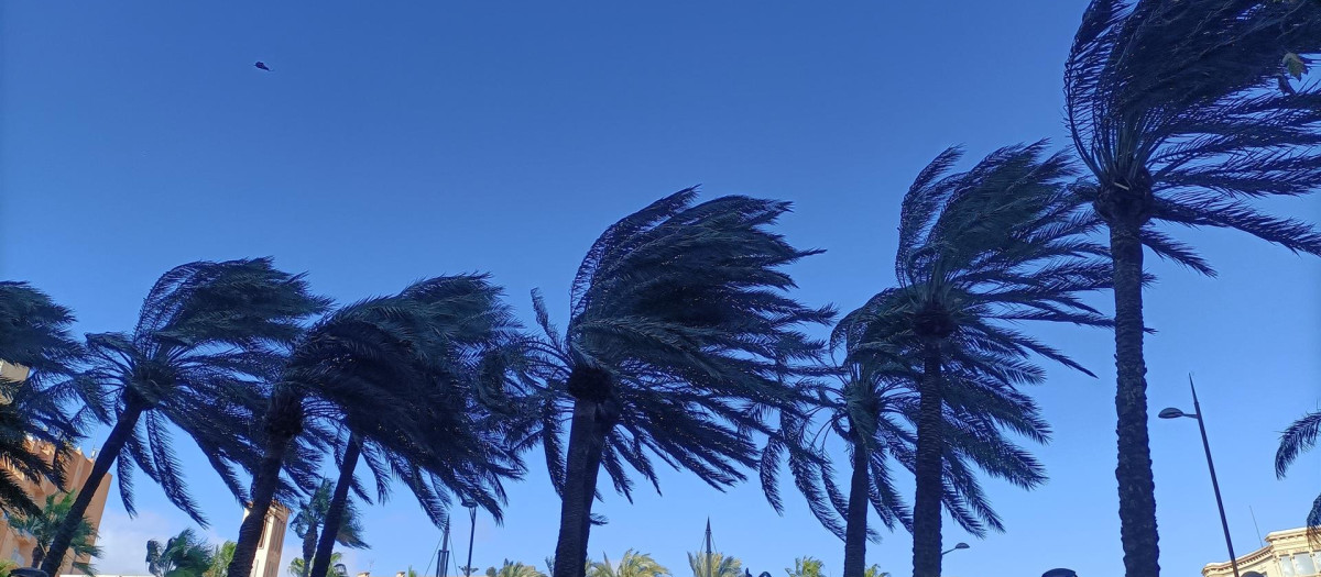 Fuertes rachas de viento en Almería capital (archivo)