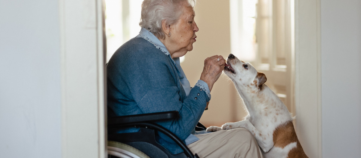 Una anciana juega con un perro