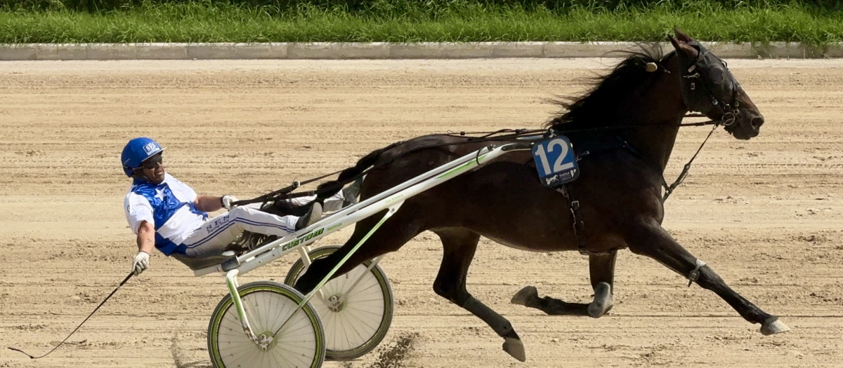 El Consell de Mallorca apuesta por el trote en Fitur 2026