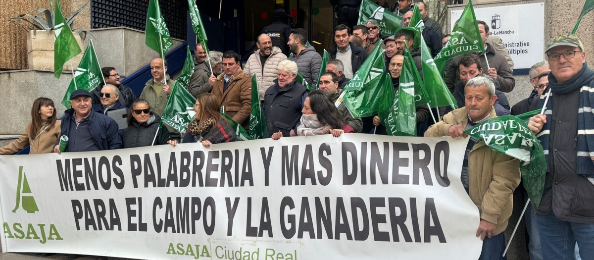 Ganaderos de Ciudad Real exigen a la Junta que se compense a los afectados por la lengua azul y más vacunación