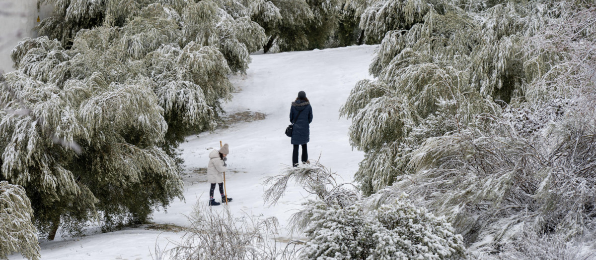 La nieve llega a los montes de Jaén con Ingrid y obliga a parar la campaña de la aceituna
