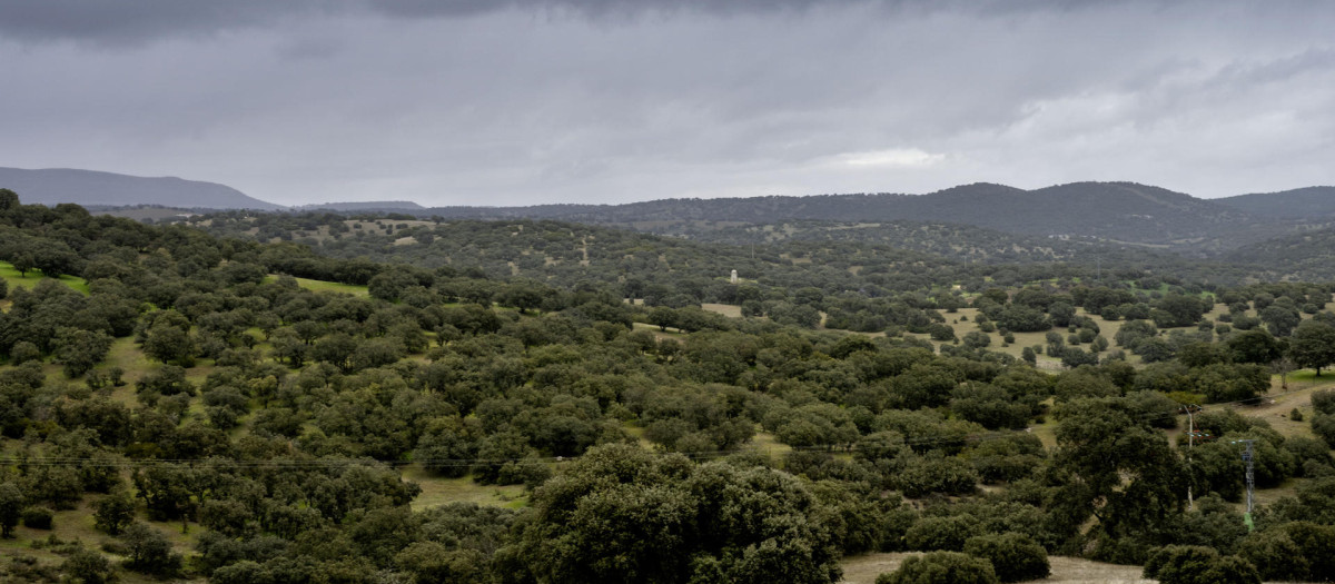 Zona de Aldeaquemada (Jaén) donde se ha prospectado y han determinado la existencia de minerales críticos