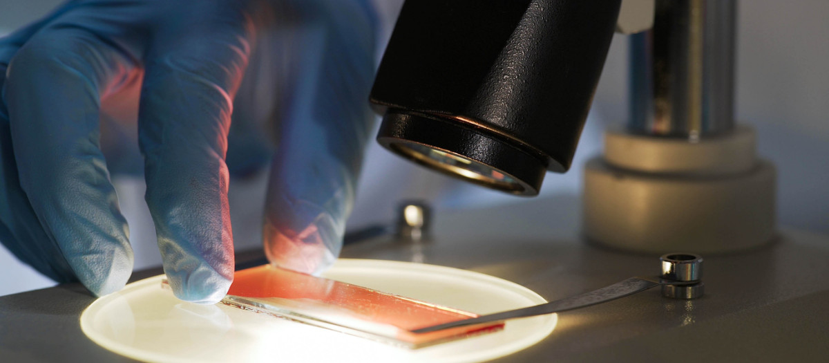 Medical scientist studying blood sample under microscope, biochemical research