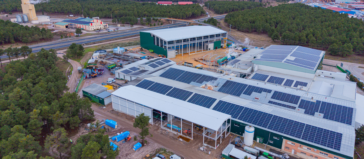 Huercasa construye la mayor fábrica de maíz dulce en mazorca de Europa, en Sanchonuño (Segovia)