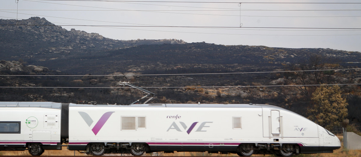(Foto de ARCHIVO)
Un tren de la línea AVE Madrid-Galicia a su paso por una zona quemada por los incendios, a 21 de agosto de 2025, en A Gudiña, Ourense, Galicia (España). Los trenes habituales en la línea de alta velocidad Madrid-Galicia circulan desde hoy con normalidad en su horarios programados tras la suspensión durante 6 días del servicio por los incendios. Además de los trenes habituales Renfe ha reforzado la línea con dos trenes especiales.

Carlos Castro / Europa Press
21/8/2025