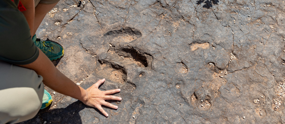 Imagen de archivo de una huella de dinosaurio