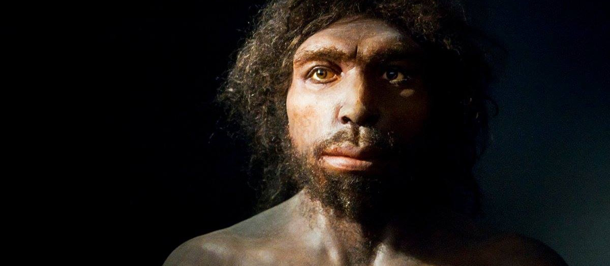 Recreación de un homo antecessor