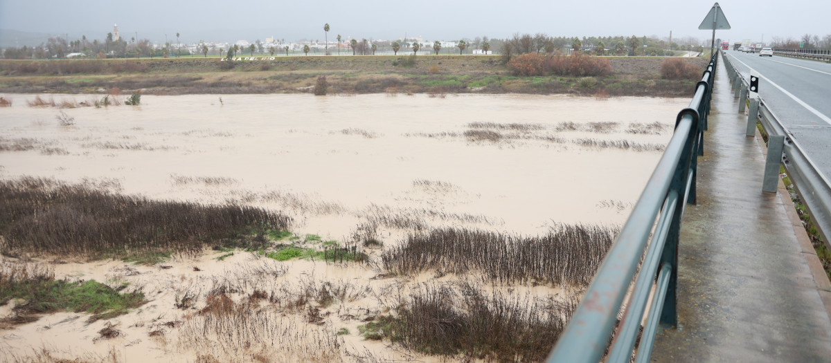 Imagen del río Guadalquivir a su paso por Lora del Río (Sevilla) tras las últimas lluvias dejadas por la borrasca Joseph