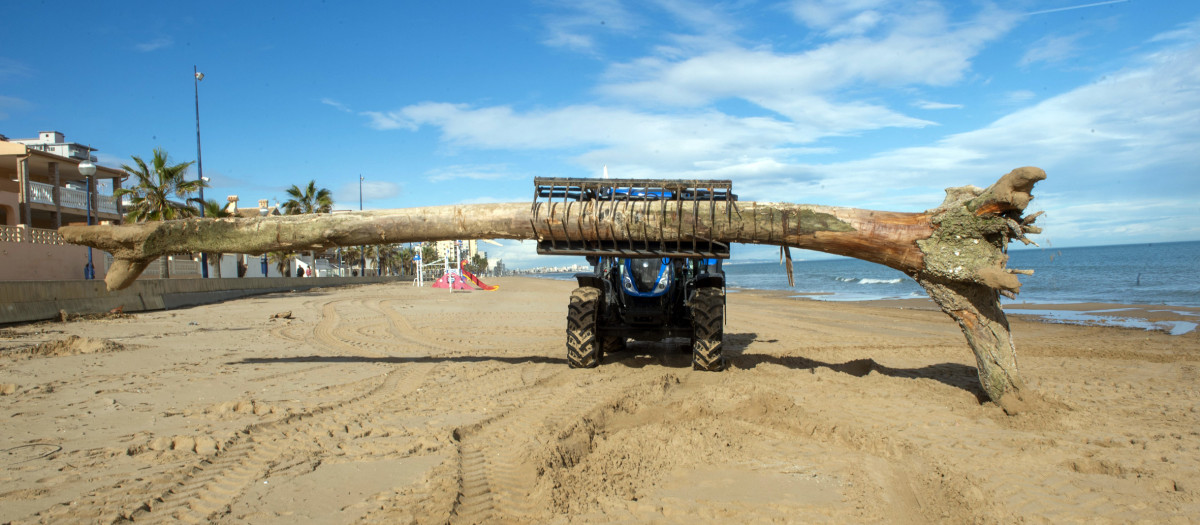 Imagen tomada este martes de la limpieza de la playa de la localidad Miramar por la Diputación de Valencia