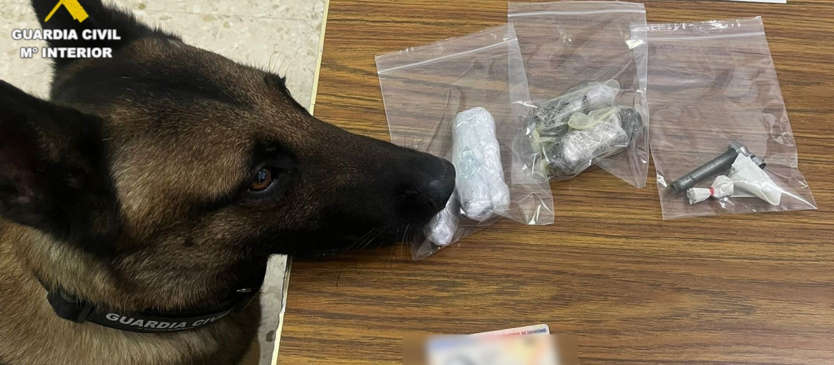 Imagen del perro de la Guardia Civil junto a la droga incautada

REMITIDA / HANDOUT por GUARDIA CIVIL
Fotografía remitida a medios de comunicación exclusivamente para ilustrar la noticia a la que hace referencia la imagen, y citando la procedencia de la imagen en la firma
28/1/2026