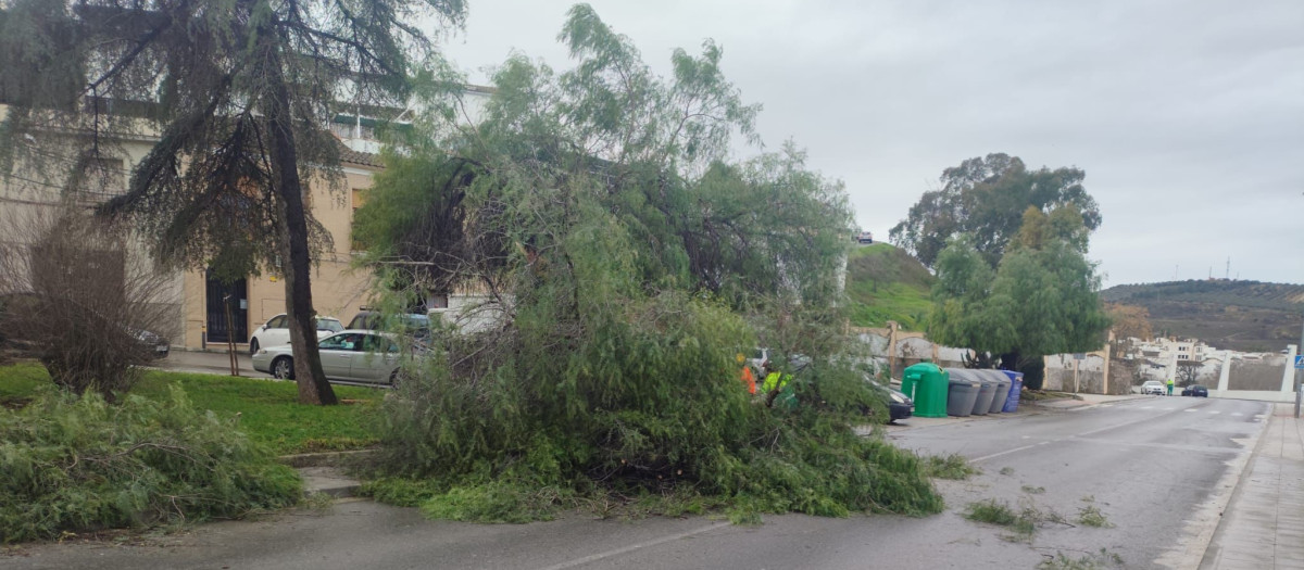 Efectos de la borrasca Kristin en Puente Genil