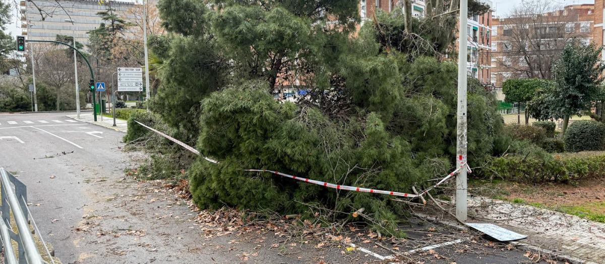 KRISTIN A SU PASO POR CORDOBA BORRASCA LLUVIA CORDOBA CALLES