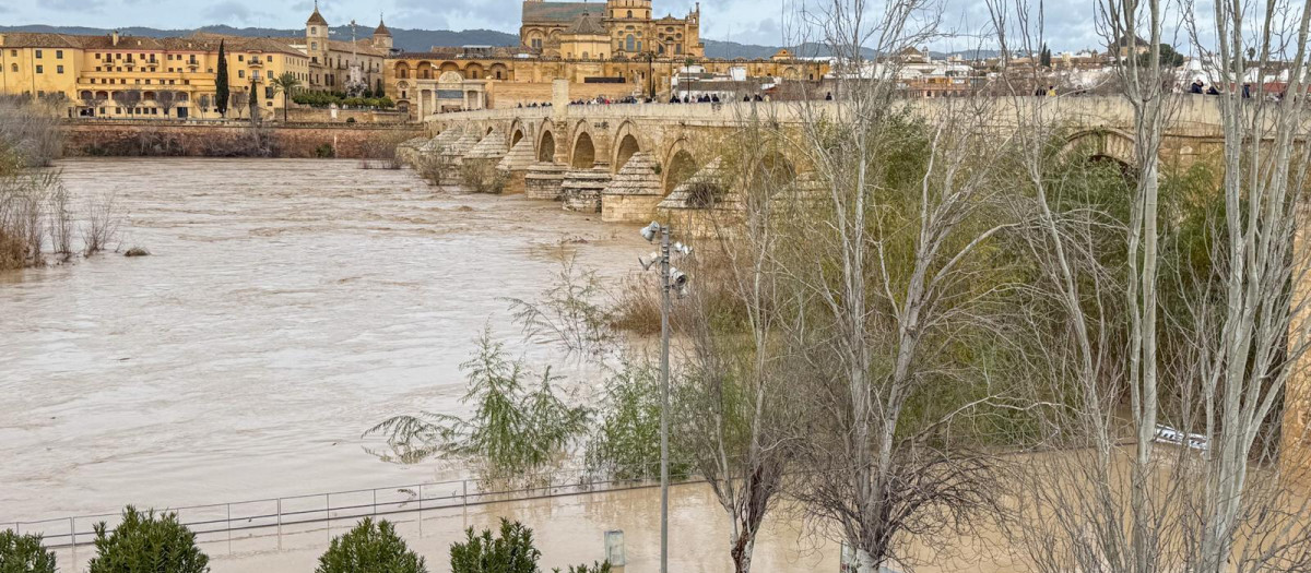 KRISTIN A SU PASO POR CORDOBA BORRASCA LLUVIA CORDOBA CALLES