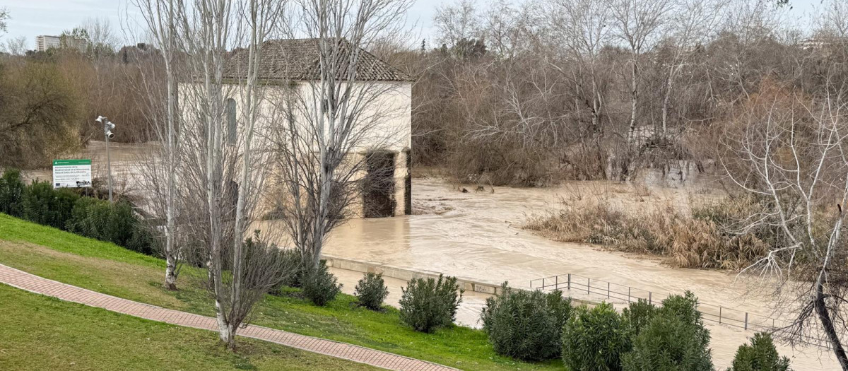 KRISTIN A SU PASO POR CORDOBA BORRASCA LLUVIA CORDOBA CALLES