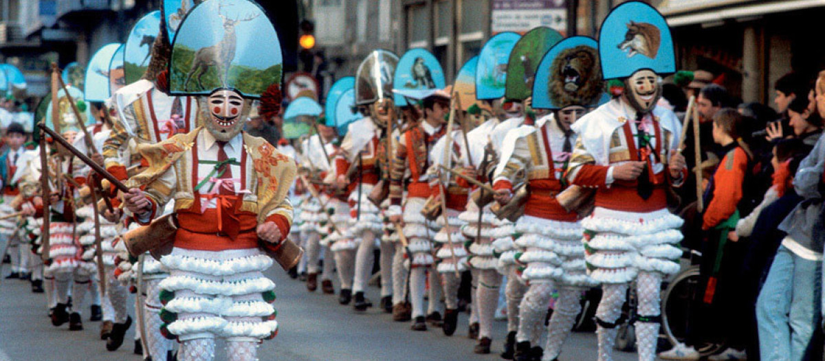 cigarrón de verin