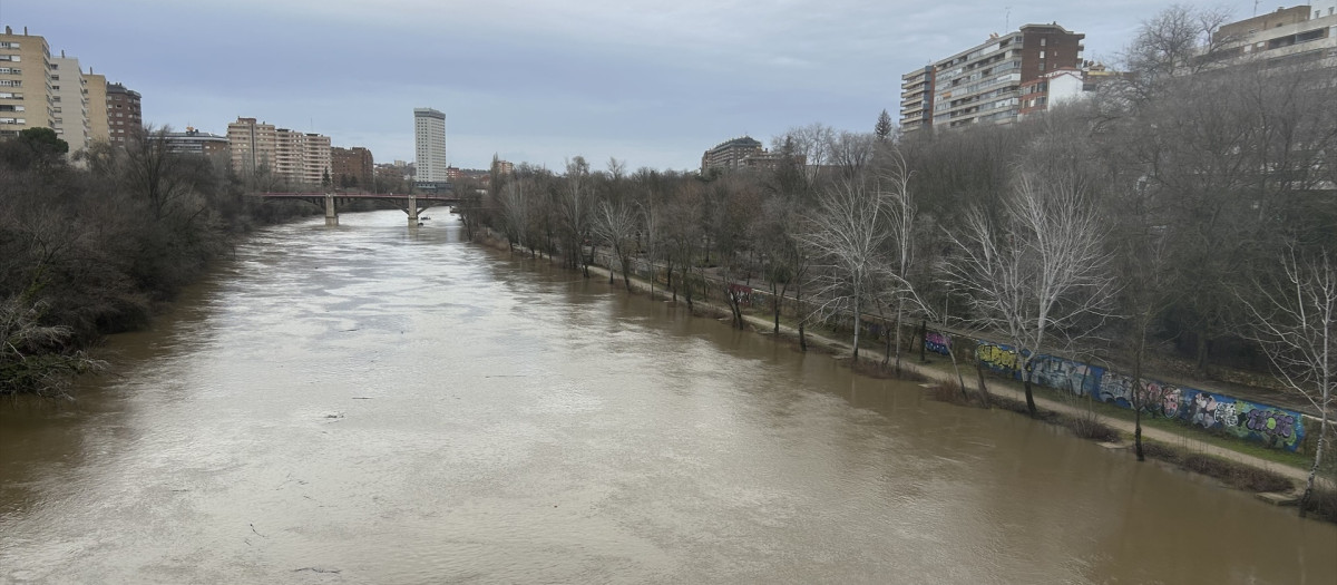El río Pisuerga a su paso por Valladolid capital el 29 de enero de 2026

EUROPA PRESS
29/1/2026