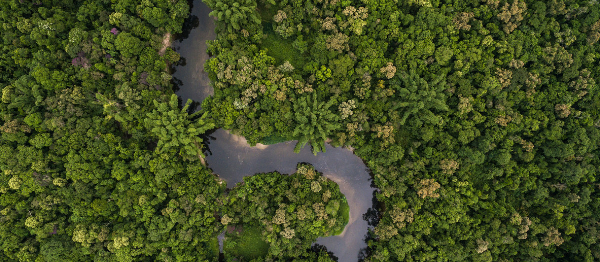 Vista aérea de la Amazonía