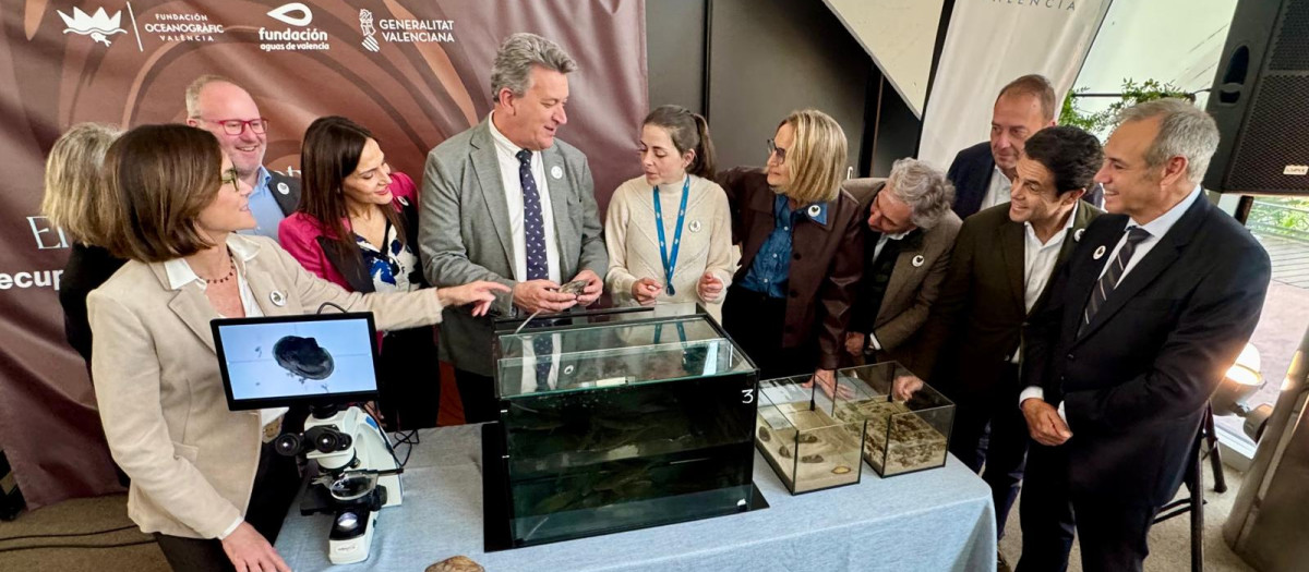 Imagen del acto celebrado este viernes en Valencia