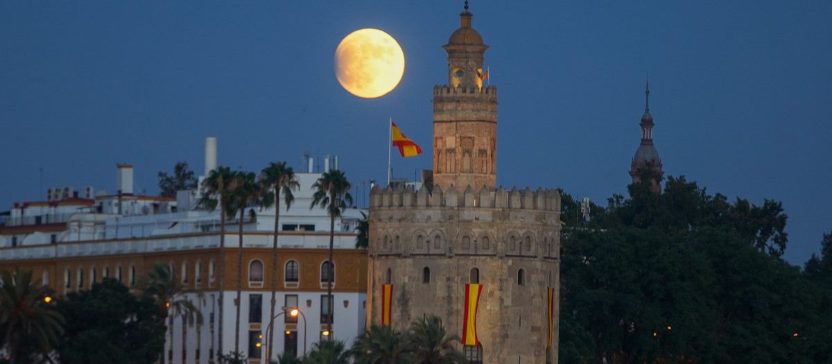 (Foto de ARCHIVO)
Eclipse lunar parcial en Sevilla con la Torre del Oro enfrente.

Eduardo Briones / Europa Press
16/7/2019