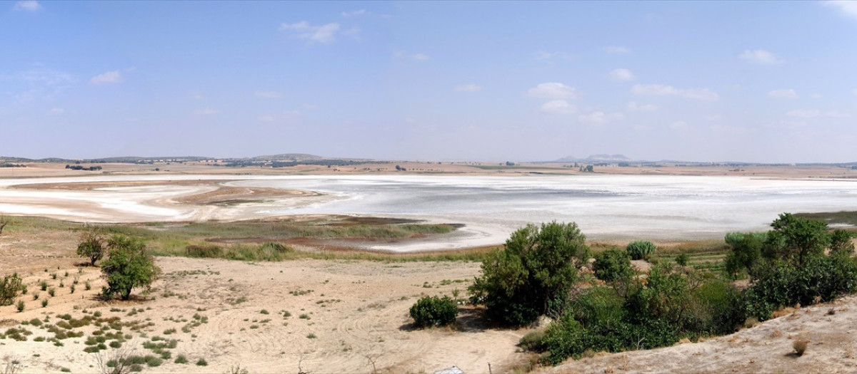 Laguna de Pétrola.

REMITIDA / HANDOUT por JCCM
Fotografía remitida a medios de comunicación exclusivamente para ilustrar la noticia a la que hace referencia la imagen, y citando la procedencia de la imagen en la firma
02/2/2026