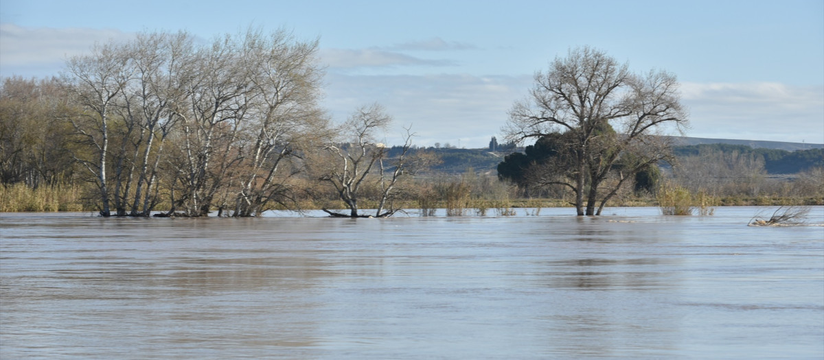 Vista de la crecida del Río Ebro a su paso por Novillas, Zaragoza