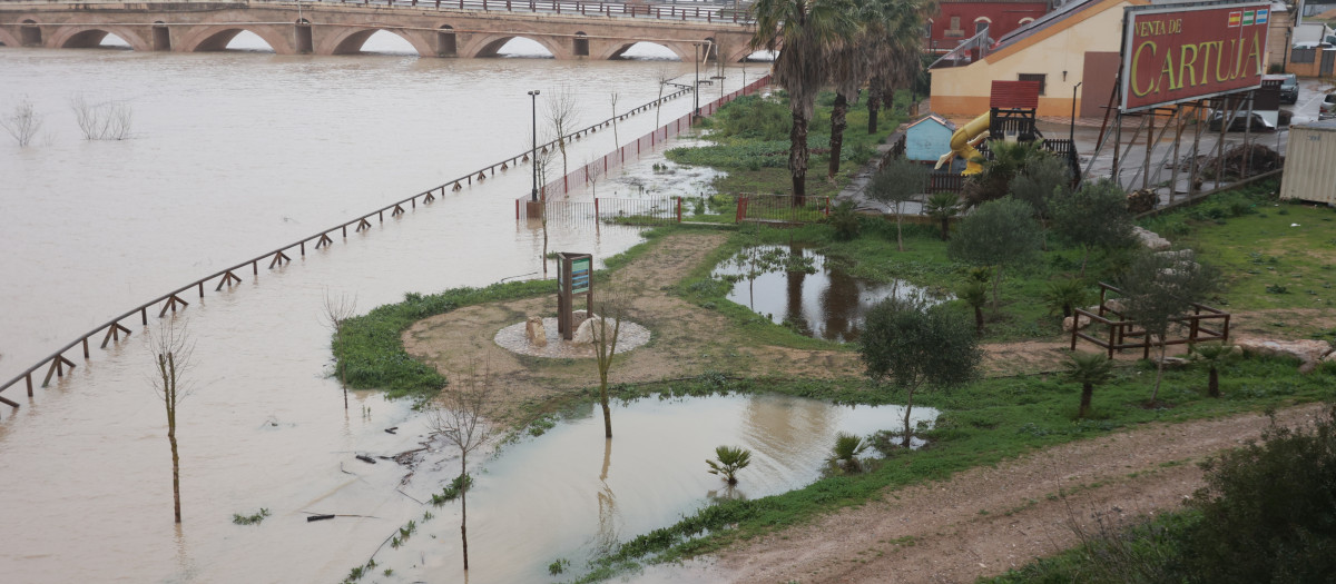 El río Guadalete desborda sus márgenes a su paso por la zona de Las Pachecas en Jerez de la Frontera (Cádiz) provocando importantes inundaciones. A 4 de febrero de 2026, en Jerez de la Frontera, Cádiz (Andalucía, España). La Agencia Estatal de Meteorología (Aemet) ha activado hasta las 15.00 horas de este miércoles 4 de febrero aviso de nivel rojo --peligro extraordinario-- en la comarca gaditana del Campo de Gibraltar por lluvias que pueden dejar hasta 120 litros por metro cuadrado en 12 horas, especialmente en el entorno del municipio de Algeciras. En todo el litoral de Cádiz hay además activos avisos de nivel naranja por fenómenos costeros y fuertes vientos.

Rocío Ruz / Europa Press
04/2/2026