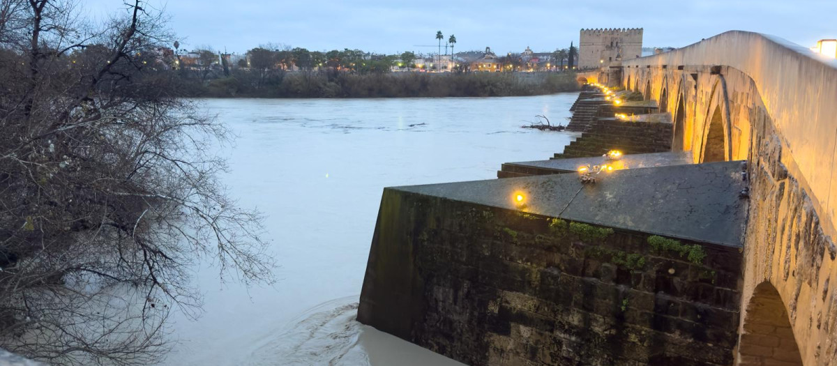 Así estaba el Guadalquivir a la altura del Puente Romano, este miércoles 4 de febrero