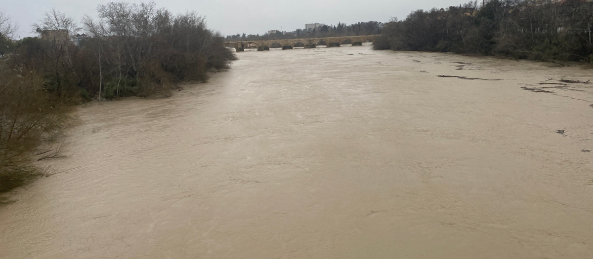 Río Guadalquivir a su paso por Córdoba tras la borrasca Leonardo