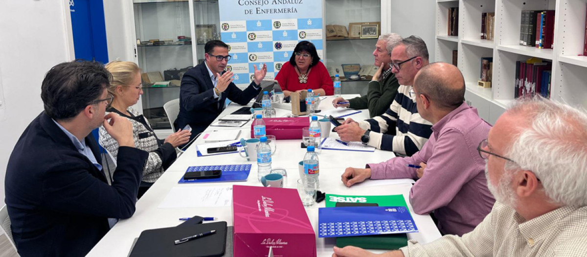 Reunión entre Satse y Consejo Andaluz de Enfermería (CAE)