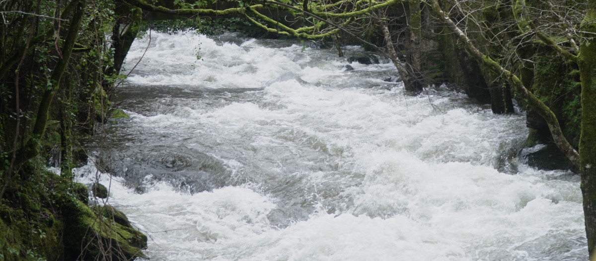 (Foto de ARCHIVO)
La cascada de Fervenza de Belelle (A Coruña) durante la borrasca que afecta a Galicia, a 27 de enero de 2026, en Neda, A Coruña, Galicia (España). El 112 Galicia registró, hasta las 08.00 horas de este martes, más de 800 incidencias relacionadas con la meteorología adversa y la provincia de Pontevedra es la más castigada. Así, según la información de la central de emergencias, en las últimas horas hubo muchos siniestros ocasionados por objetos y vegetación presentes en la vía, debido a árboles, desprendimientos de tierra y piedras.

Gustavo de la Paz / Europa Press
27/1/2026
