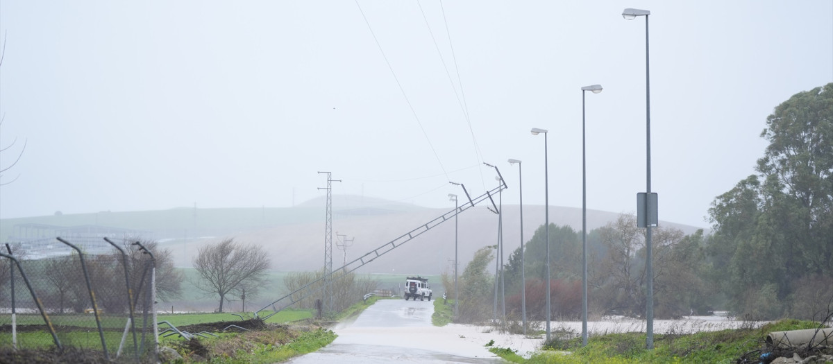 Caída del tendido eléctrico en la carretera de Villamartín a Bornos en la provincia de Cádiz
