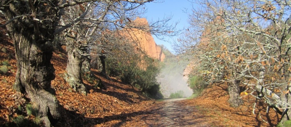 Imagen de archivo de la Senda de Las Valiñas, por el circo del interior de Las Médulas (León)