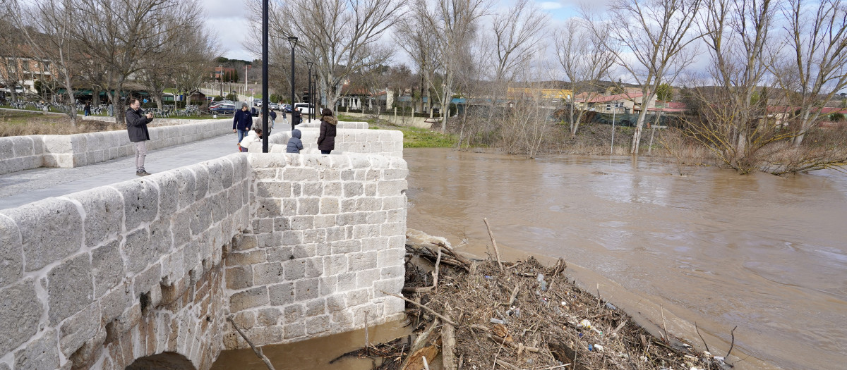 Aumento del caudal del río Pisuerga a su paso por la localidad vallisoletana de Simancas