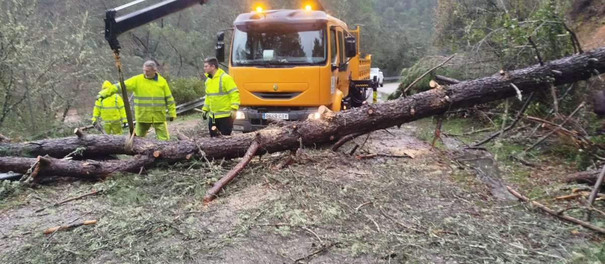 Trabajadores de la Diputación, en una de las carreteras que se han visto cortadas por el reciente temporal.