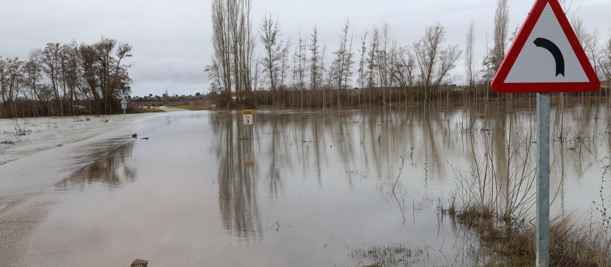 Aspecto del río Carrión a su paso por Monzón de Campos (Palencia)