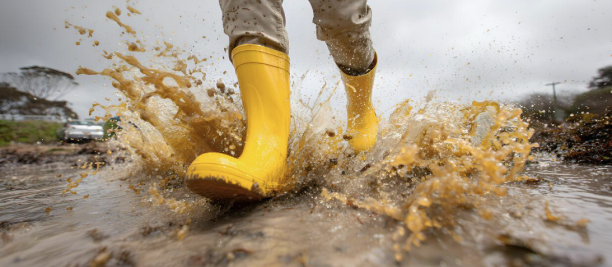 Imagen de archivo-botas de agua