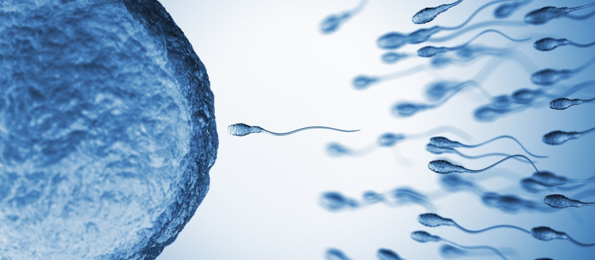 La infertilidad afecta al 15 por ciento de la población mundial,