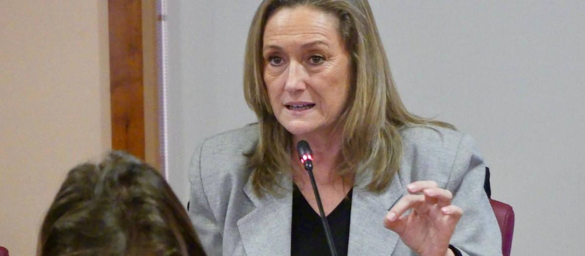 El PP denuncia que Caballero ejecuta solo el 23% del presupuesto de 2025 y acusa “engaño masivo” a la ciudad

REMITIDA / HANDOUT por PP DE VIGO
Fotografía remitida a medios de comunicación exclusivamente para ilustrar la noticia a la que hace referencia la imagen, y citando la procedencia de la imagen en la firma
11/2/2026