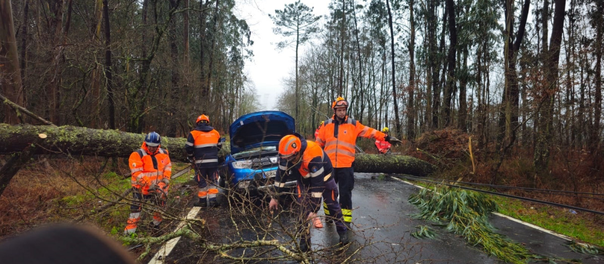 Los servicios de emergencias trabajan para retirar un árbol que cayó sobre un coche que circulaba en Caldas, dejando herida leve a su conductora

REMITIDA / HANDOUT por EMERXENCIAS CUNTIS
Fotografía remitida a medios de comunicación exclusivamente para ilustrar la noticia a la que hace referencia la imagen, y citando la procedencia de la imagen en la firma
11/2/2026