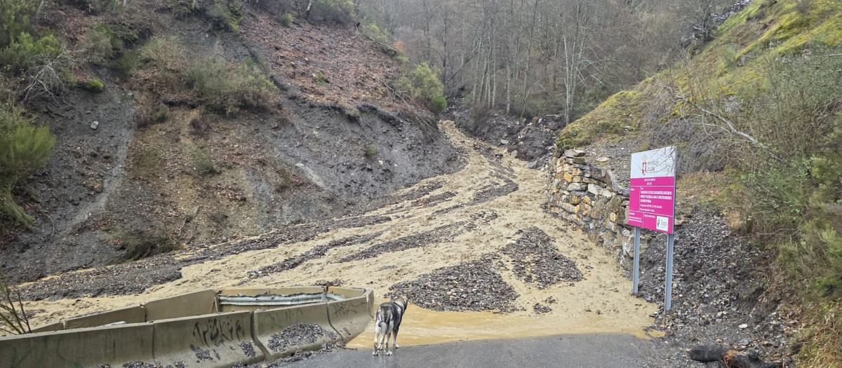 Nuevo derrumbe de rocas y tierra en el acceso a Peñalba de Santiago (León) solo un mes después de su reapertura
