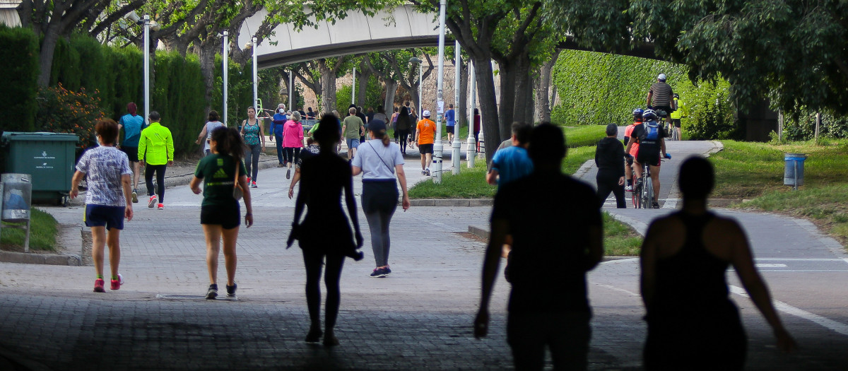 Imagen tomada en el Jardín del Turia de Valencia