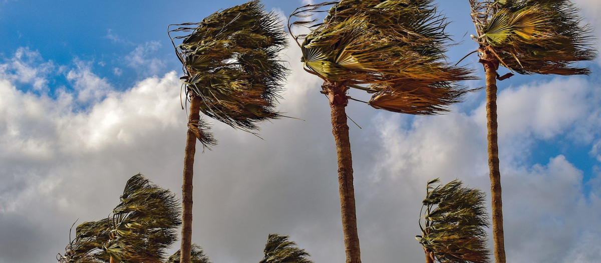 Imagen de los efectos del temporal de viento
