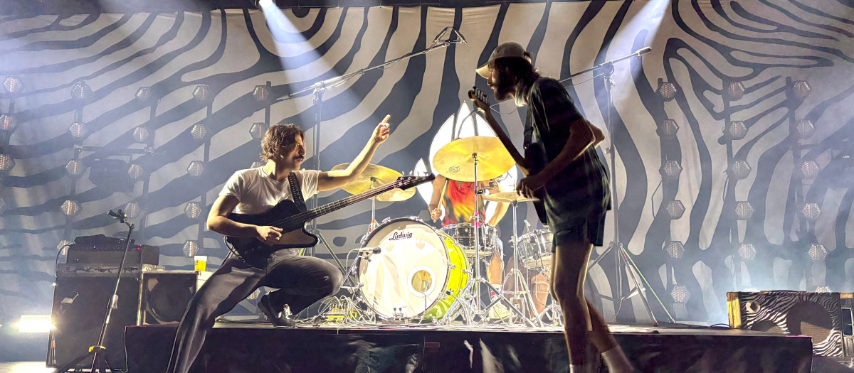 Imagen del concierto de Sexy Zebras en el Auditorio Roig Arena