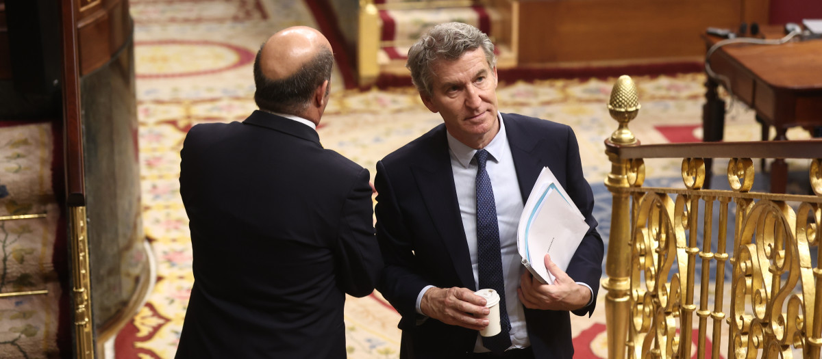 El presidente del PP, Alberto Núñez Feijóo