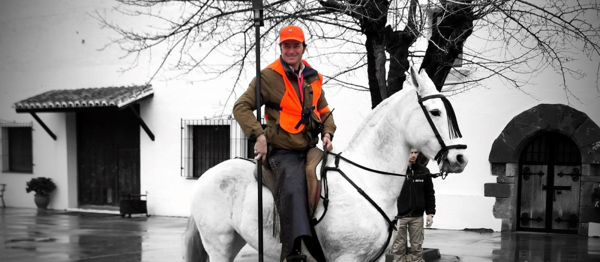 Los terrones de azúcar