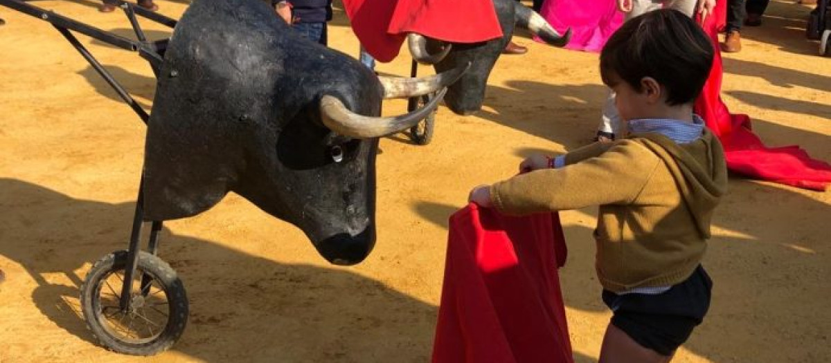 Niño toreando