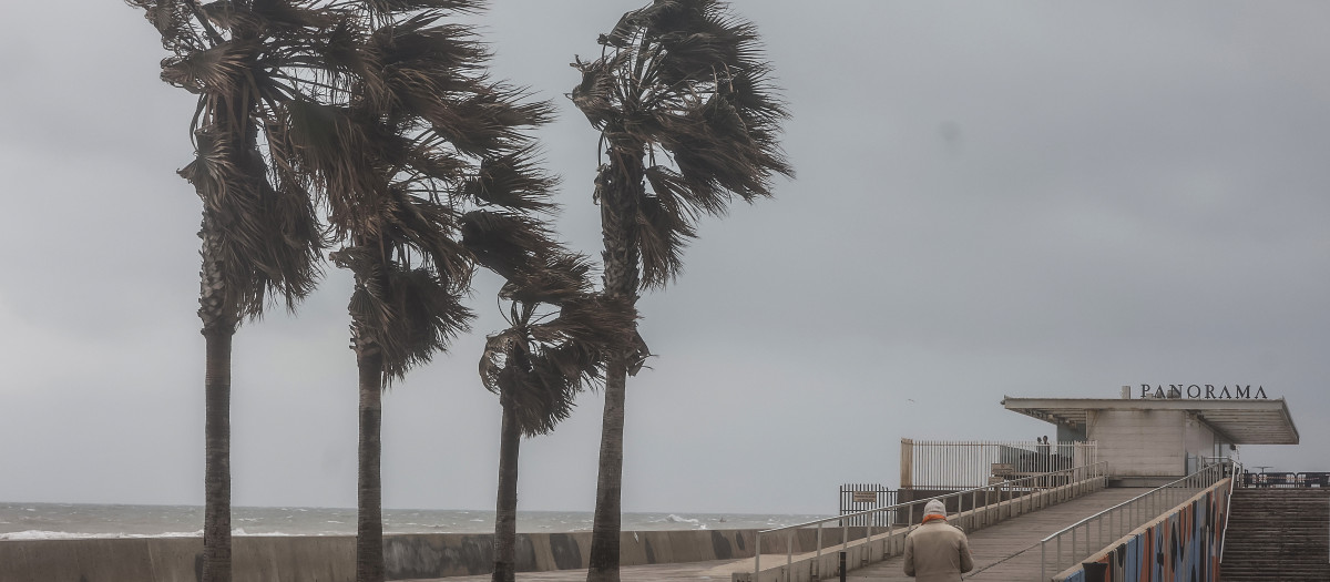 Imagen de los efectos del temporal en Valencia