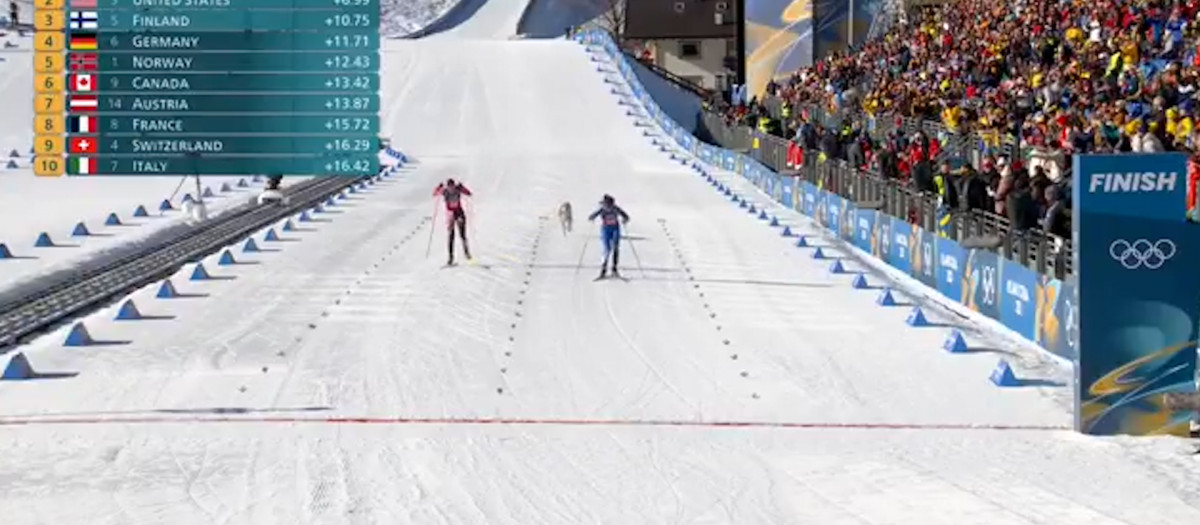 imágenes del animal asaltando la recta de meta del esquí de fondo