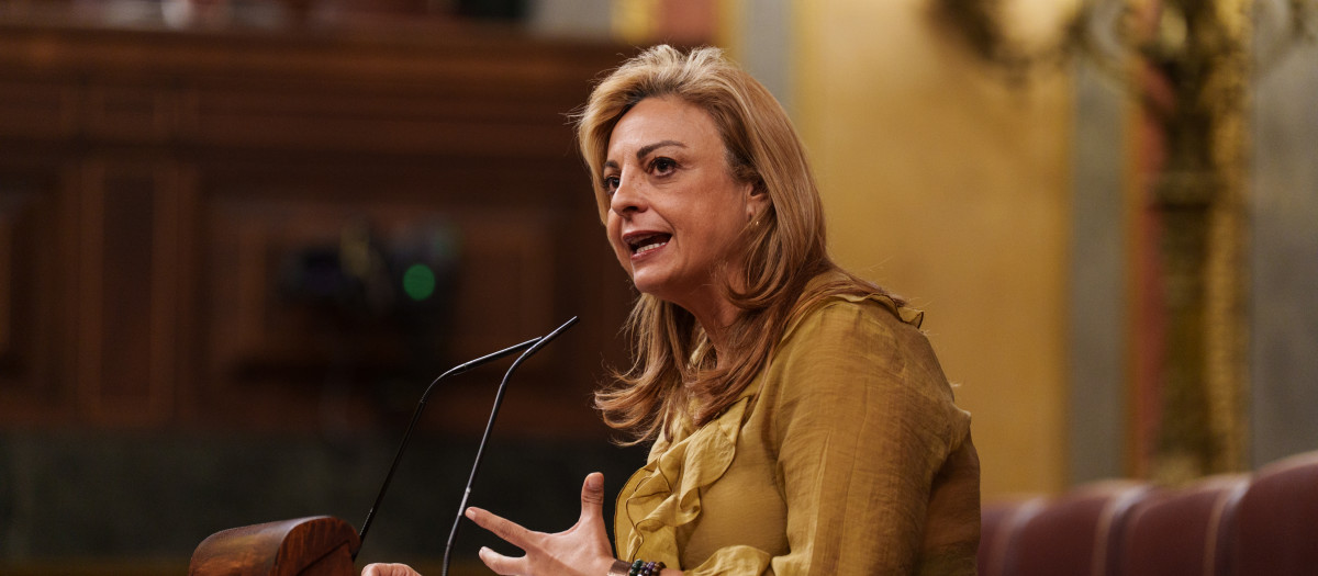 La diputada de Coalición Canaria Cristina Valido interviene durante una sesión plenaria en el Congreso de los Diputados, a 17 de febrero de 2026, en Madrid (España). La sesión debate dos proposiciones de ley: una del PSOE sobre la evaluación del impacto de las políticas públicas en la juventud, y otra del VOX, de carácter orgánico, para prohibir el uso del nicab y el burka en el espacio público; que si superan la votación inicial, iniciarán su tramitación parlamentaria.

Matias Chiofalo / Europa Press
17/2/2026