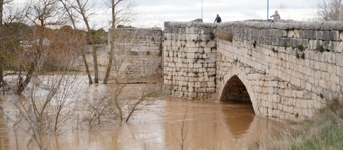 Crecida del río Duero a su paso por el barrio vallisoletano de Puente Duero el pasado domingo